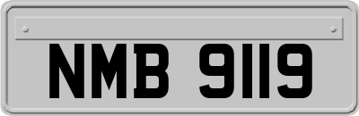 NMB9119