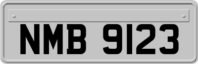 NMB9123