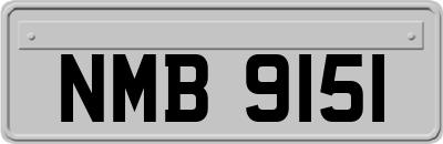 NMB9151