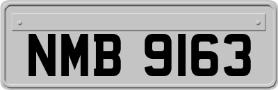 NMB9163