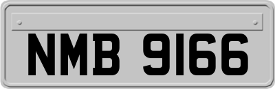 NMB9166
