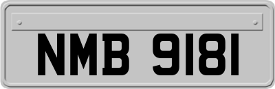 NMB9181