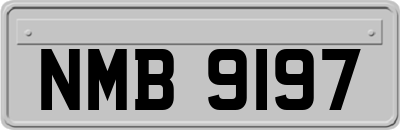NMB9197