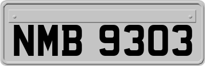 NMB9303
