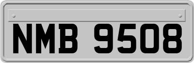 NMB9508