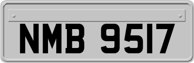 NMB9517