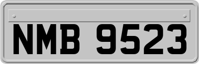 NMB9523