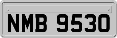 NMB9530