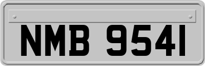 NMB9541
