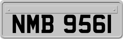 NMB9561