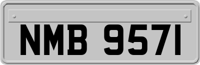 NMB9571