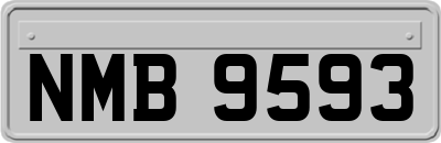 NMB9593