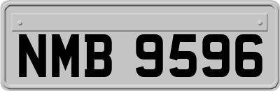 NMB9596