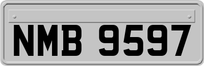 NMB9597
