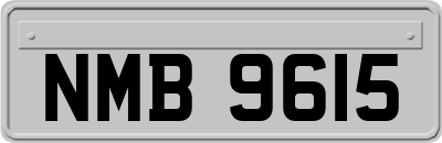 NMB9615