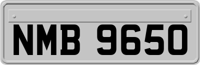 NMB9650