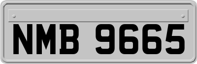 NMB9665