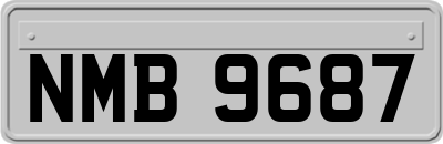 NMB9687