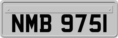NMB9751