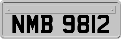 NMB9812