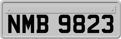 NMB9823