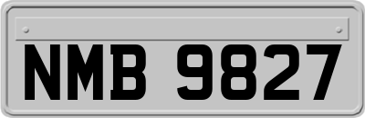 NMB9827