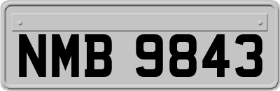 NMB9843