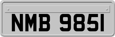 NMB9851