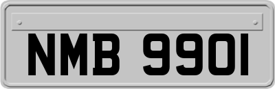 NMB9901
