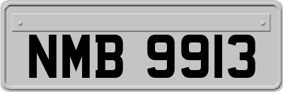 NMB9913