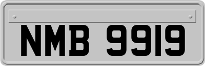 NMB9919