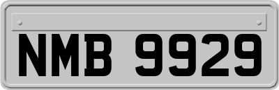 NMB9929