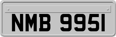 NMB9951