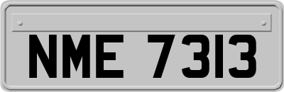 NME7313