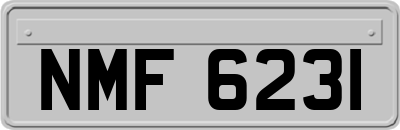 NMF6231