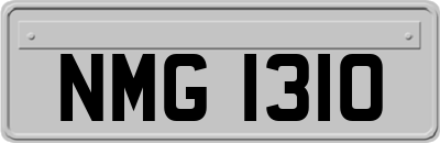 NMG1310