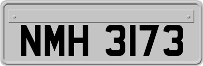NMH3173