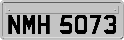 NMH5073