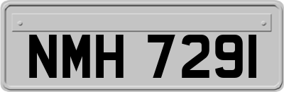 NMH7291