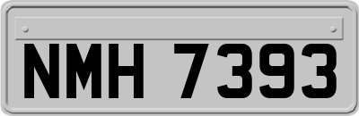 NMH7393
