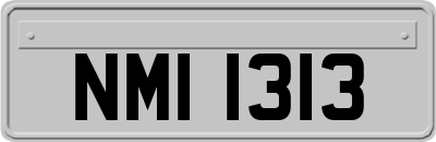 NMI1313