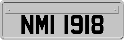NMI1918