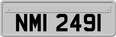 NMI2491