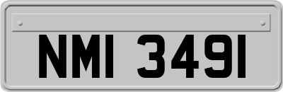 NMI3491