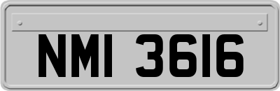 NMI3616