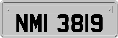 NMI3819