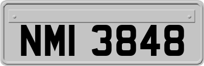 NMI3848