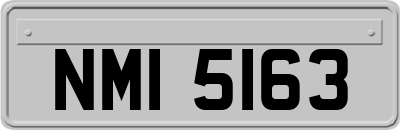 NMI5163