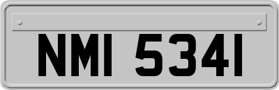 NMI5341