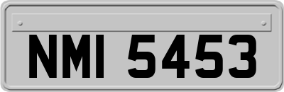 NMI5453